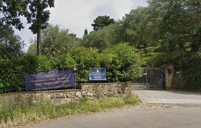 Appartamenti La Rocca Palaia Eksteriør bilde